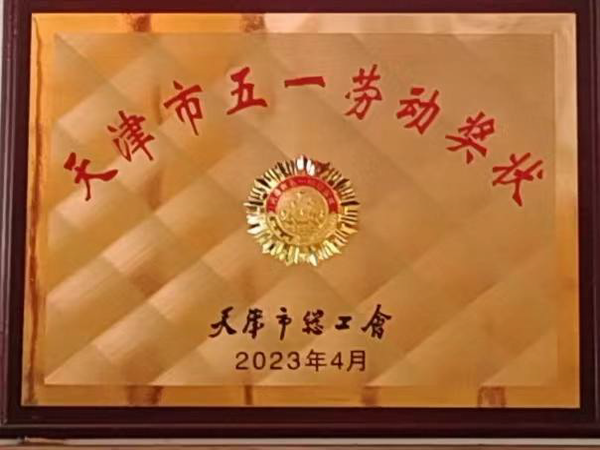 27-天津市五一劳动奖章.png